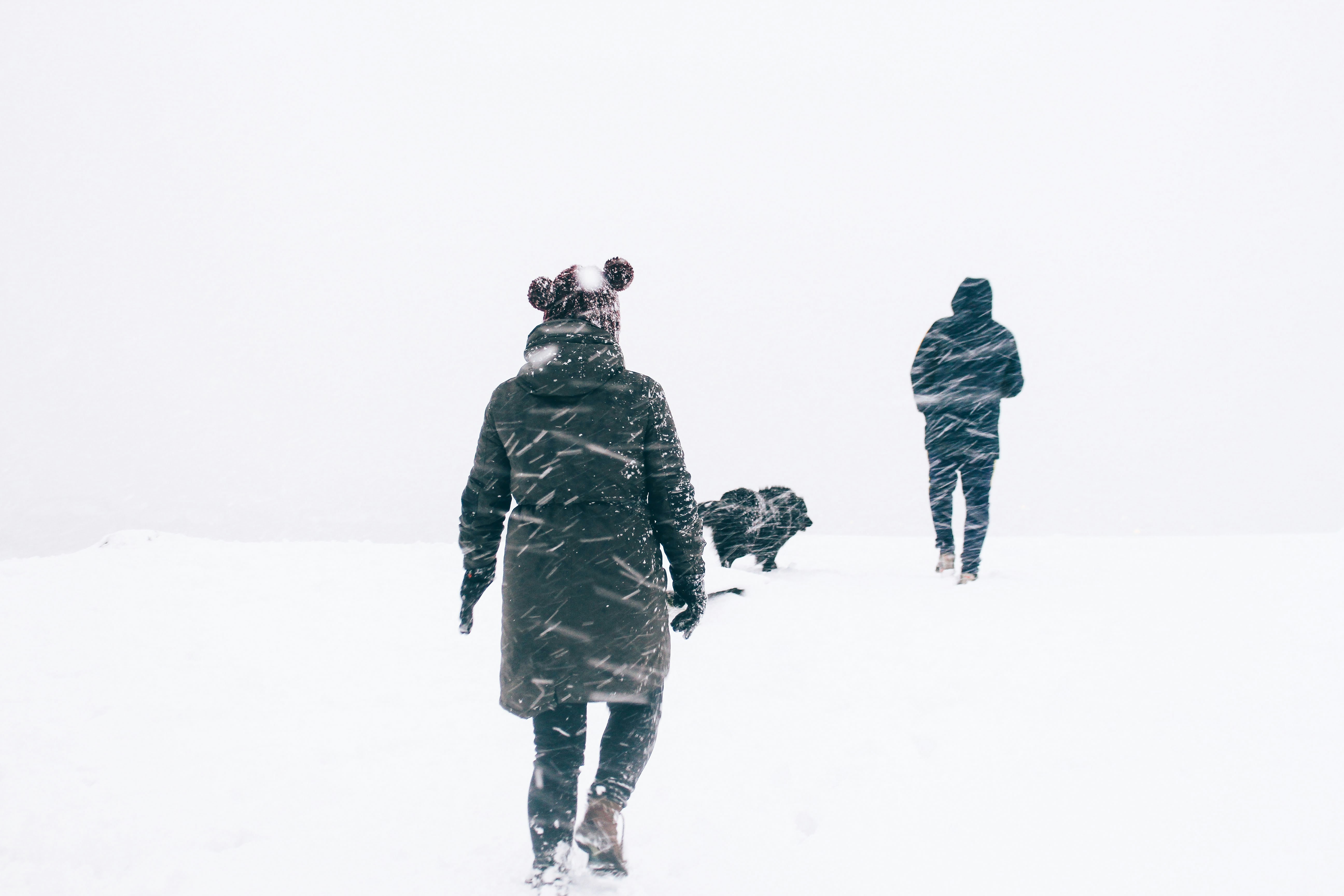 The great experience of walking in the middle of a snowstorm, is indescribable. Be attacked by ice crystals and reduce your visual ability do not prevent you feel the great sentimentality of living unique experiences.\r</p>
<p>Thanks Ushuaia” style=”max-width:400px;float:right;padding:10px 0px 10px 10px;border:0px;”>Yaz X Loryna: O Ԛue Você Precisa Տаber</p>
<div id=